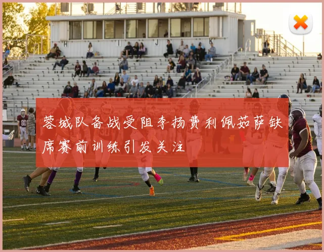 蓉城队备战受阻李扬费利佩茹萨缺席赛前训练引发关注