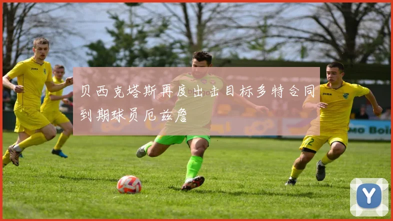 贝西克塔斯再度出击目标多特合同到期球员厄兹詹