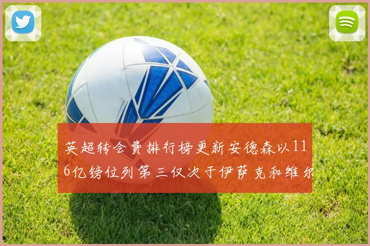 英超转会费排行榜更新安德森以116亿镑位列第三仅次于伊萨克和维尔茨